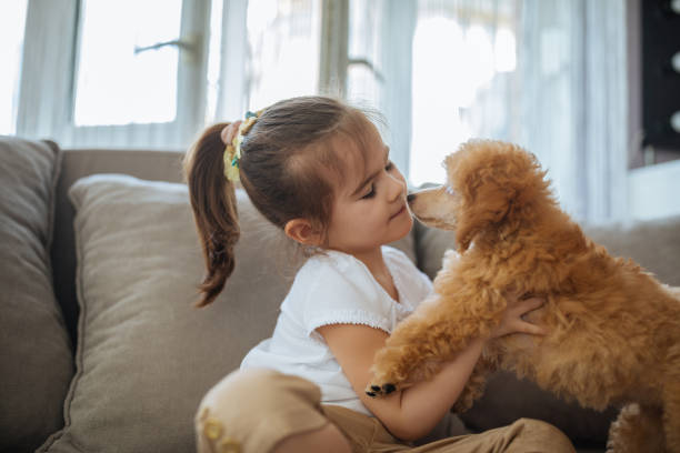 adorable little girl holding a puppy